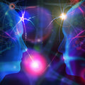 Colourful illustration of two human heads with neural connections and bright lights.