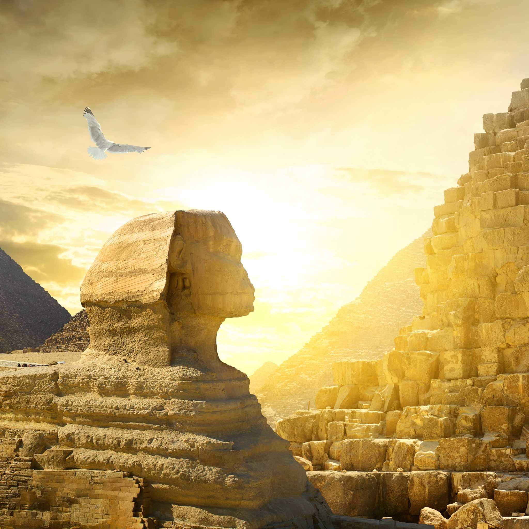 The Sphinx and a pyramid in the background, bathed in golden sunset light, representing sphinx connections.