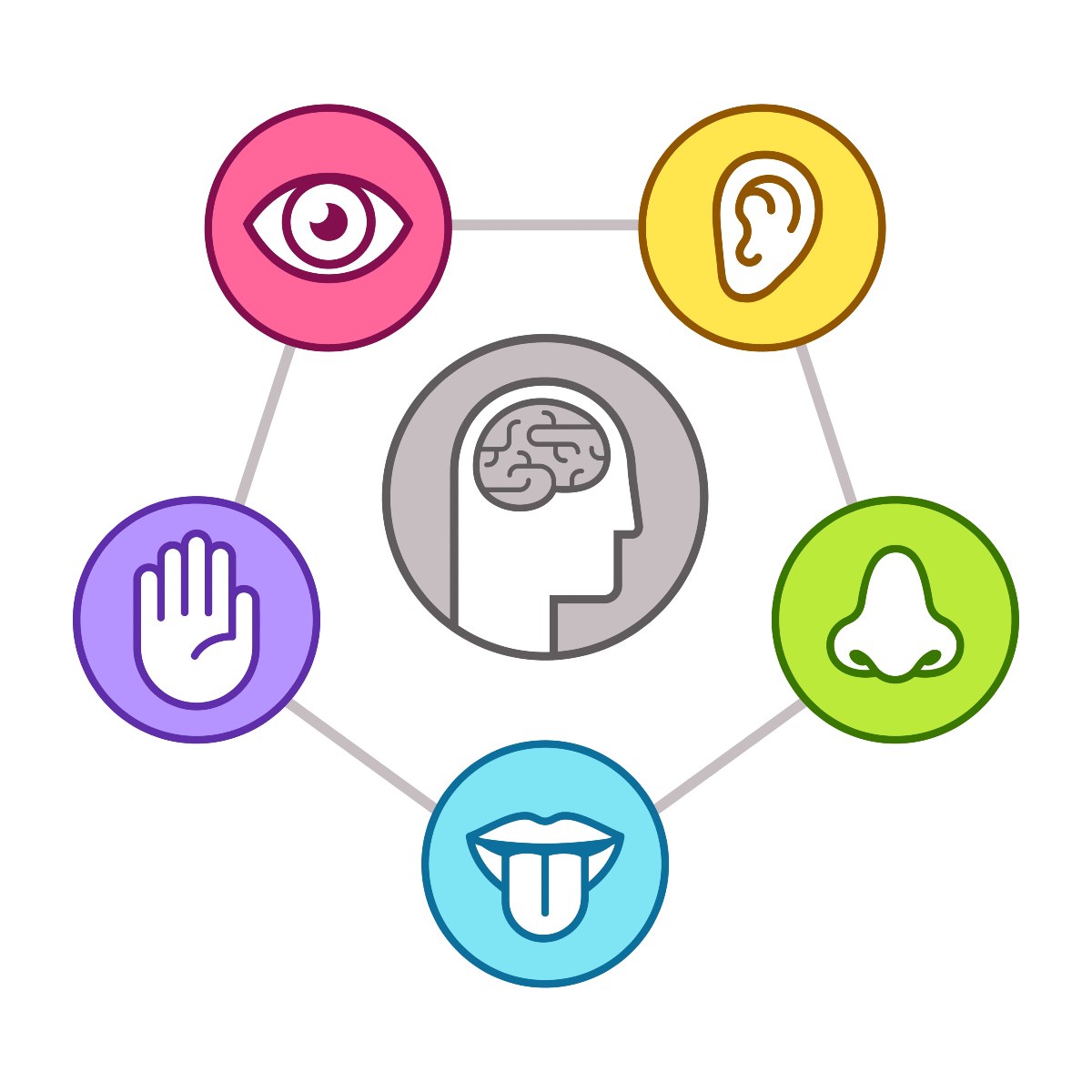 Diagram showing a central profile icon of a human head with a brain surrounded by five colourful circular icons representing sight, hearing, touch, taste, and smell.