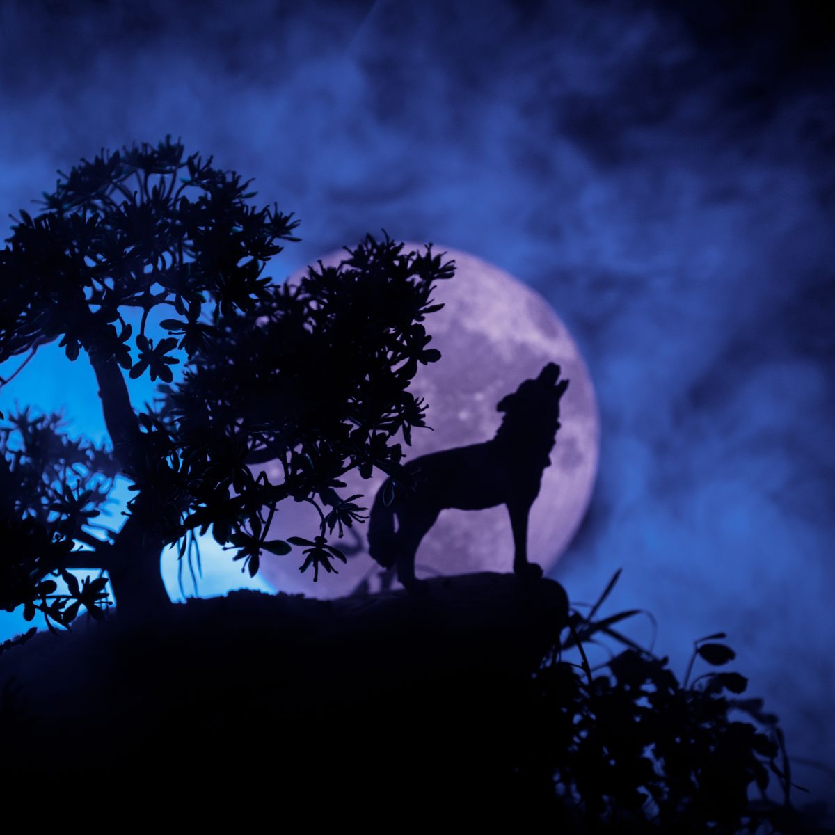 Silhouette of a wolf howling on a rocky outcrop beside a tree against a large full moon in a misty blue night sky.