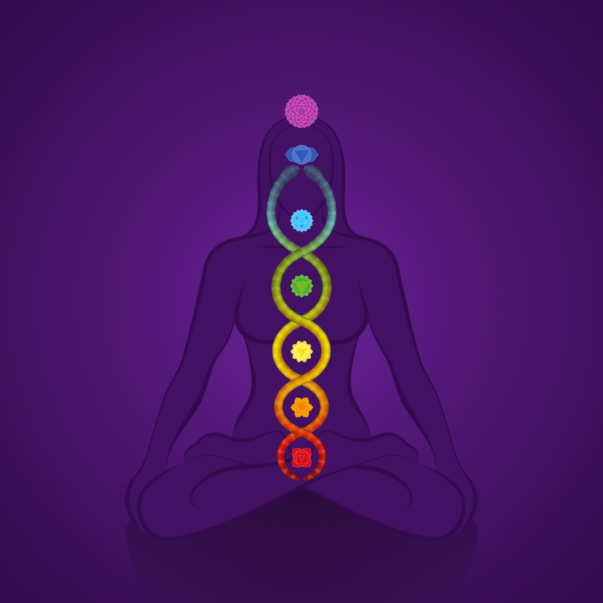 A meditating silhouette against a purple background with a rainbow-coloured, kundalini energy column and seven chakras running up the spine, representing kundalini purification.