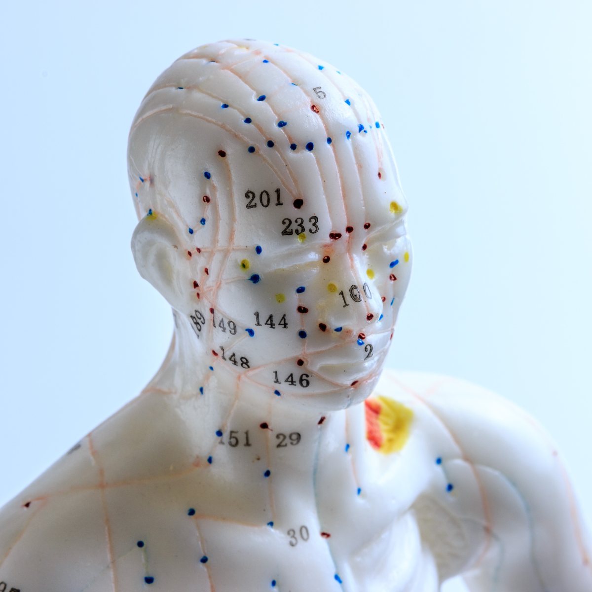 Model of a human figure with meridians and acupuncture points on a light blue background.