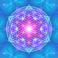 Flower of life geometric shape on a blue and purple gradient background.