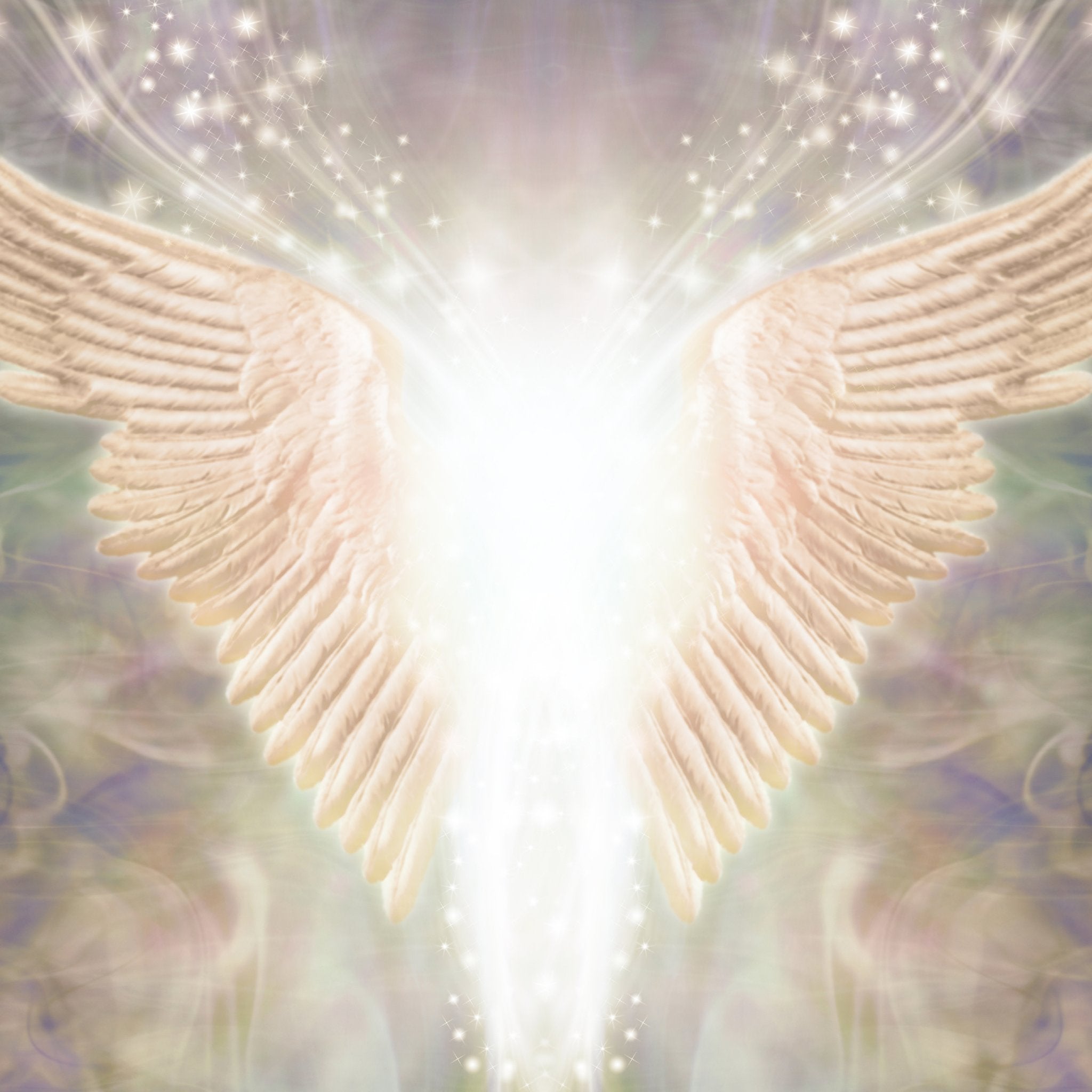 Angel wings with a soft, blurred background and white light.