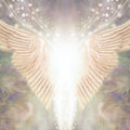 Gold and white angel wings with a soft, blurred background.