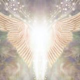 Gold and white angel wings with a soft, blurred background.