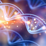 Artistic representation of a DNA double helix with a bright light background.