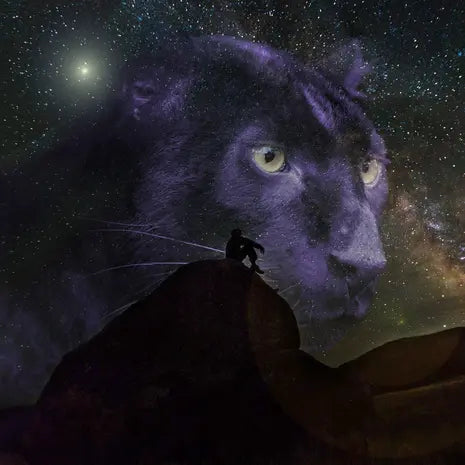 Ultimate Third Eye Chakra Panther Anchoring Treatment