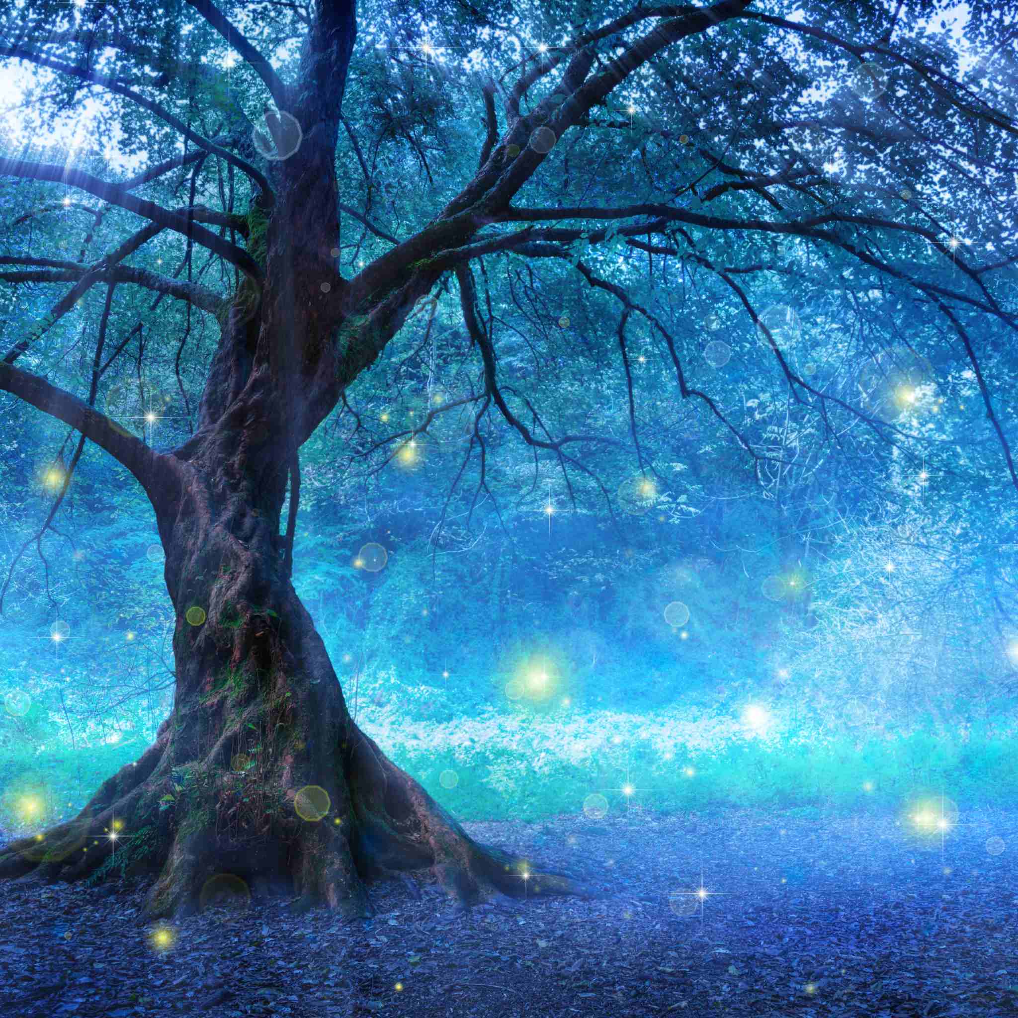 A large ancient tree with glowing blue light in a forest, surrounded by floating yellow fairy lights and blue mist, representing water fairy magic connection.