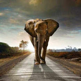 Dynamic Elephant Power Animal Connections Maintenance Attunement