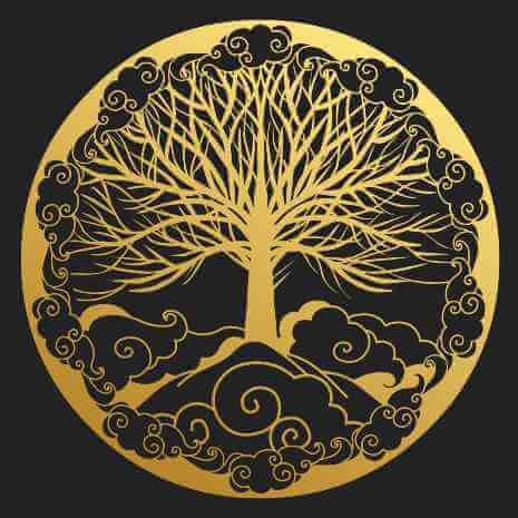 Dynamic Tree Of Life Connections Maintenance Attunement