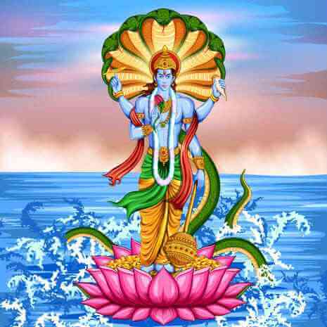 Dynamic Vishnu Connections Maintenance Attunement