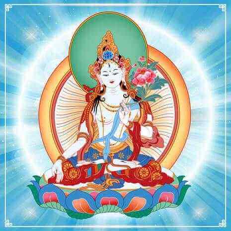 Dynamic White Tara Connections Maintenance Attunement